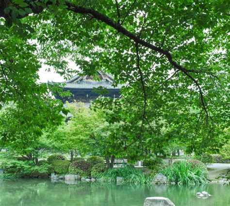 Toji, park, Kyoto, Yapan stock photo. Image of pagoda - 163093696