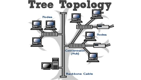 What is Bus Topology, Ring, Mesh, Star and Wireless in Network Topology ...