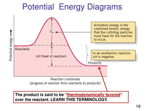 Potential Energy Diagram Explained