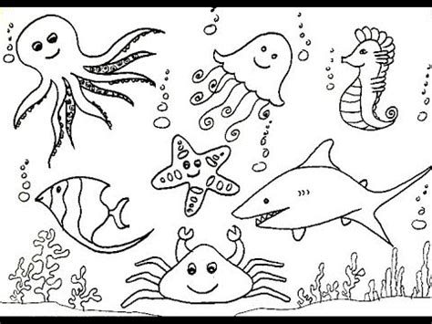 How To Draw A Ocean Animals