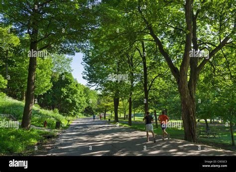 Mont royal park quebec hi-res stock photography and images - Alamy