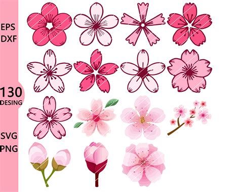 130 Cherry Blossom Hand-painted Illustration SVG PNG Flower SVG Digital Downloads - Etsy