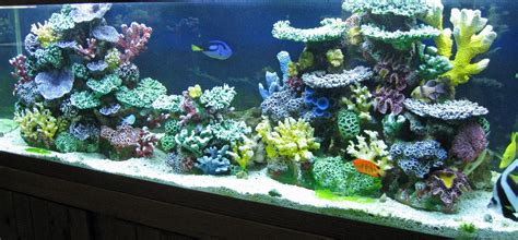 Instant Reef DM056 Artificial Coral Inserts Decor, Fake Coral Reef Decorations for Colorful ...