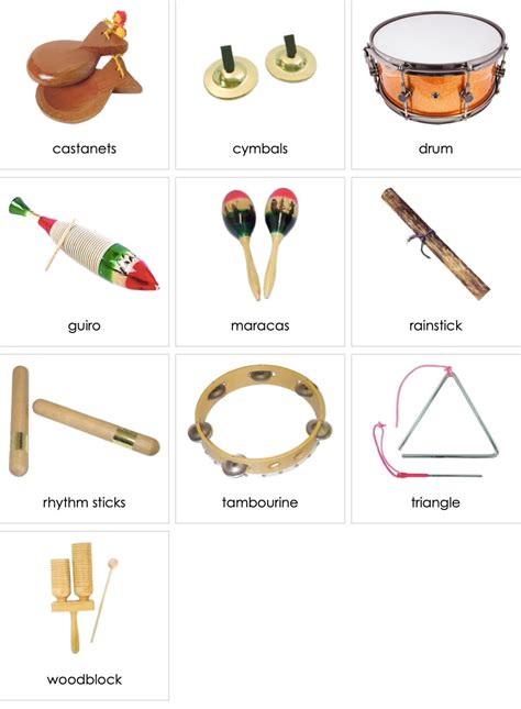 Percussion - Types Of Percussion Instruments New Percussionist ...