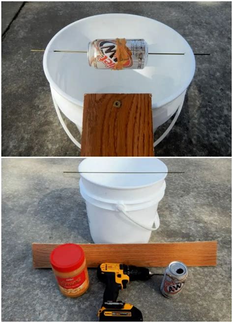 Homemade Mouse Trap (15 DIY Rat Traps that Really Work)