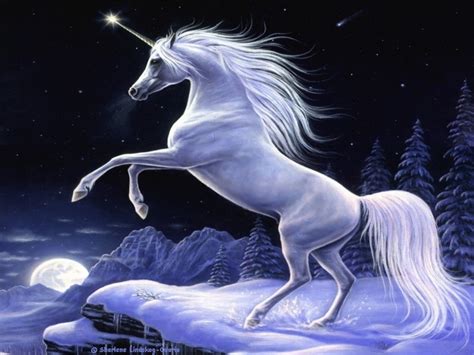 Unicorn Pictures wallpaper | 1024x768 | #66205