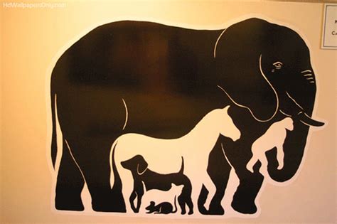 The Elephant on the Wall Optical Illusion