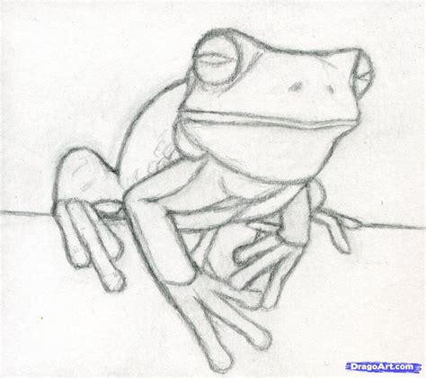 Cute Frog Drawing Realistic - HD Wallpapers