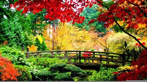 japanese-autumn-bridge-wallpaper-Showa Memorial Park Tokyo’s Paradise Garden – Trente