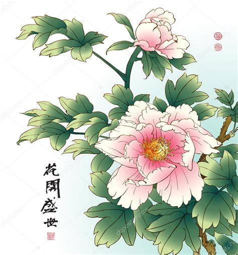 Chinese Peony Drawing