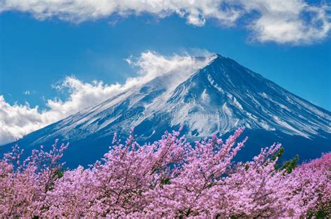 Cherry Blossoms in Spring, Chureito Pagoda and Fuji Mountain in Japan Stock Photo - Image of ...