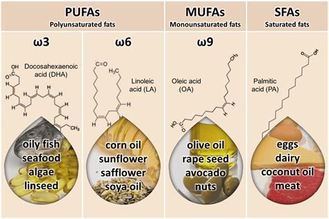 Omega Fatty Acids Bad For You at Michael Berry blog