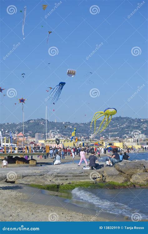 International Festival of the Kites 2010 Editorial Stock Image - Image of children, blow: 13832919