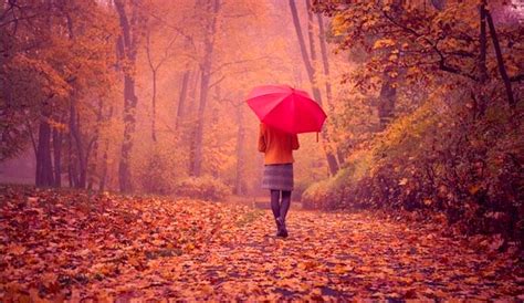 Anticipan un otoño con mucha lluvia en el país - Diario Hoy En la noticia