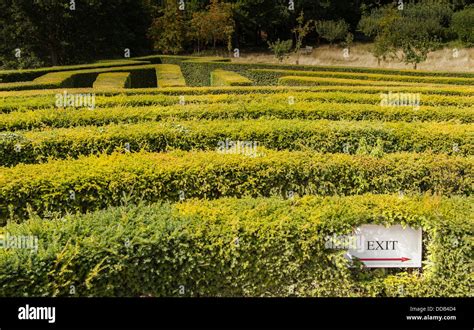 Leeds castle, kent maze hi-res stock photography and images - Alamy