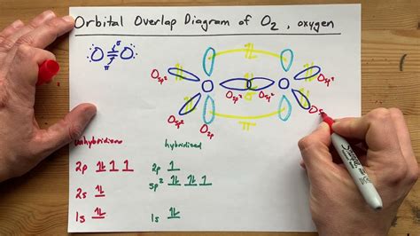 41 orbital diagram for oxygen - Modern Wiring Diagram