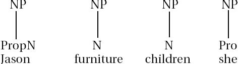 Chapter 6. Noun Phrases – York Syntax: ENG 270 at York College