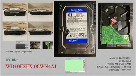 Western Digital WD Blue (WD10EZEX-08WN4A1) - YouTube