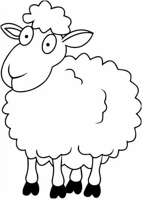 Simple Sheep Drawing at GetDrawings | Free download