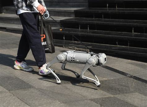 Shouting Robot Dogs Roam China's Streets to Enforce Covid Lockdown