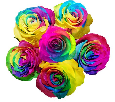 Easy Rainbow Rose