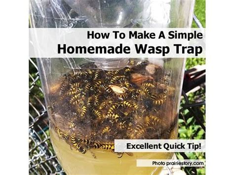 How To Make A Simple Homemade Wasp Trap