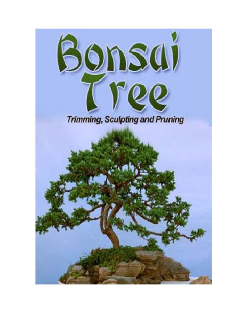 Bonsai Tree Trimming Sculpting Pruning 1 | PDF | Bonsai | Pruning