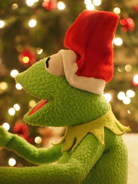 Christmas Wallpaper Laptop Kermit