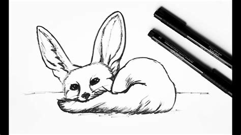 How To Draw A Fennec Fox Easy Drawings Fox Drawing Fennec Fox | Images and Photos finder