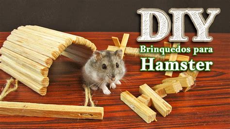 Homemade Chew Toys For Hamsters | Wow Blog