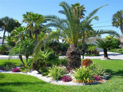 Palm Tree Landscaping Ideas - Image to u