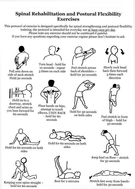 Stretching Exercises Images | Posture exercises, Exercise images ...