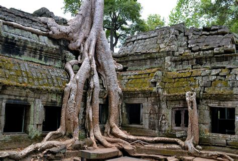 Ta Prohm, Cambodia Travel Guide - Encircle Photos