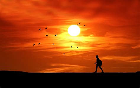 Sunset Silhouette Man Walking Free Stock Photo - Public Domain Pictures