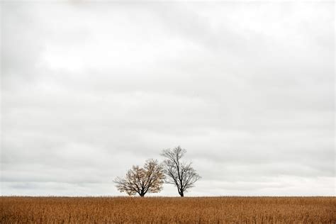 6 Important elements in minimalist photography, and why they work - Click Magazine