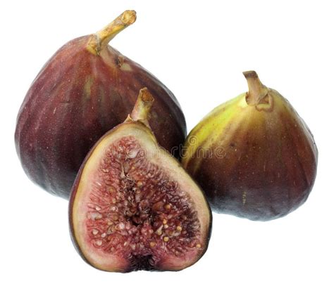 Fresh Turkish figs stock image. Image of snack, horizontal - 8167095