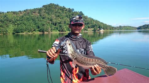 Giant Snakehead Fishing Hacks - Duraking Fishing