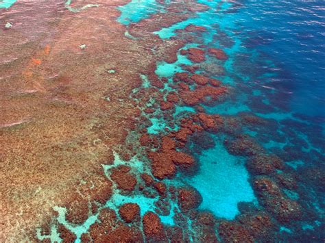 Free Images : sea, ocean, diving, aerial view, coral reef, australia ...