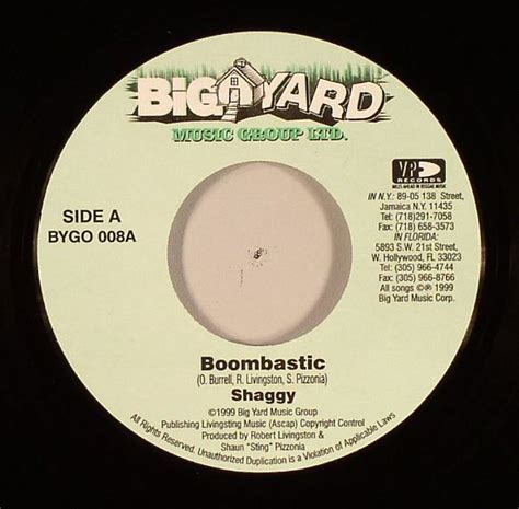 SHAGGY Boombastic vinyl at Juno Records.