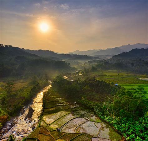 Aerial View of Rice Field · Free Stock Photo