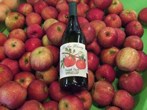 HOW TO MAKE WINE AT HOME: Apple Wine Recipe No 1