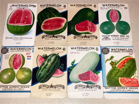 Set of 8 Vintage Watermelon Seed Packets New Old Stock Never | Etsy