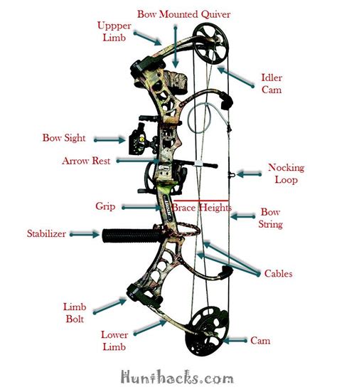 Compound Bow Parts and Accessories