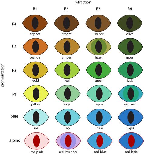 8 best eye color chart genetics images in 2020 eye color chart eye - behind these hazel eyes ...