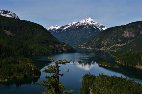 Get ready for Springtime in the National Parks of the Pacific Northwest ...