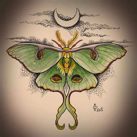 Luna Moth Drawing at GetDrawings | Free download