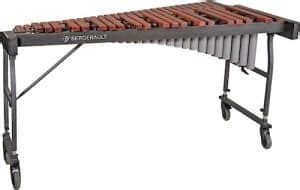 Top 11 Best Xylophone Brands On The Market 2023 – My New Microphone