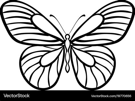 Butterfly black and white Royalty Free Vector Image