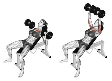 7 Best Dumbbell Bench Press Variations (With Pictures) - Inspire US