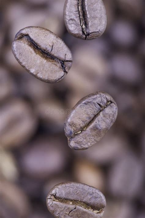 Falling Coffee Beans Closeup Stock Image - Image of bean, horizontal: 63119003